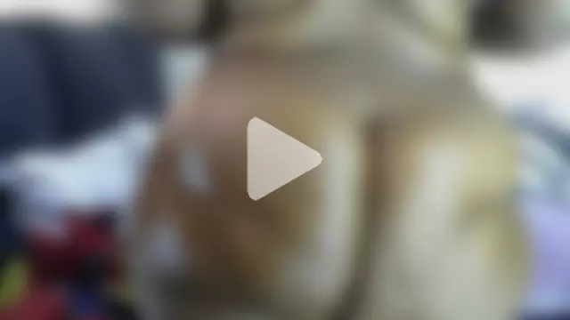 AddictiveAssCurves photo 14