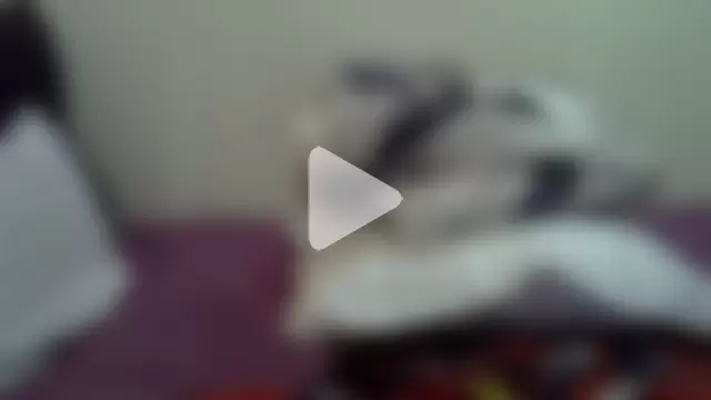 AddictiveAssCurves photo 6