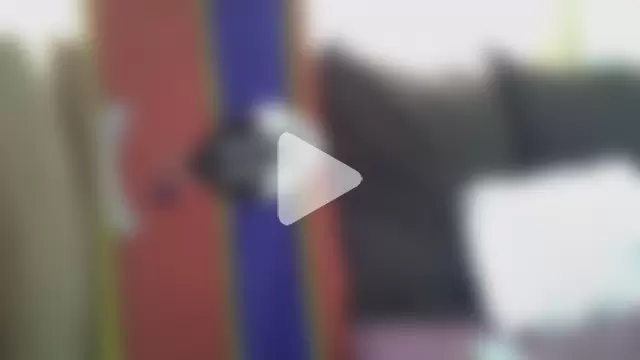 AddictiveAssCurves photo 5