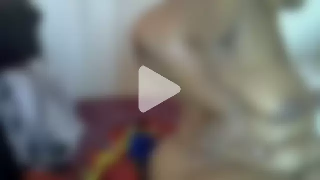 AddictiveAssCurves photo 4