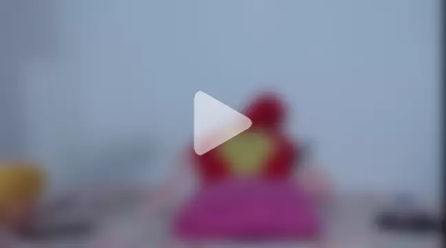 Alancroxetii photo 8