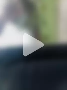 AlaskanCornpone photo 13