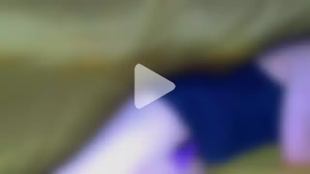 Albert_Else photo 19