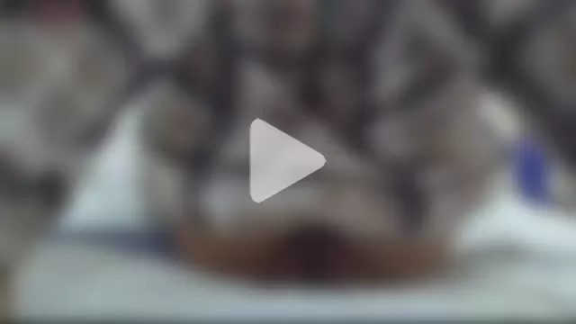 Alcastillov1 photo 11