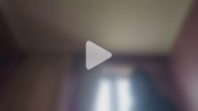 AlejandraDelaney photo 19