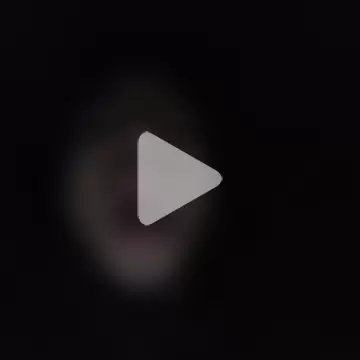 AlexAlejandro13 photo 16