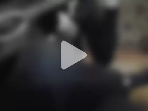 AlferezzSolvajo photo 26