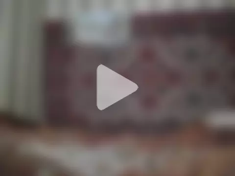 AlferezzSolvajo photo 22