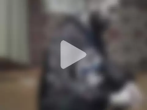 AlferezzSolvajo photo 20