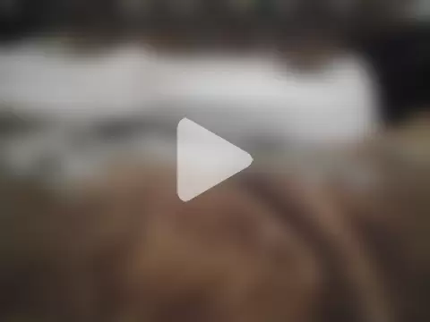 AlferezzSolvajo photo 12