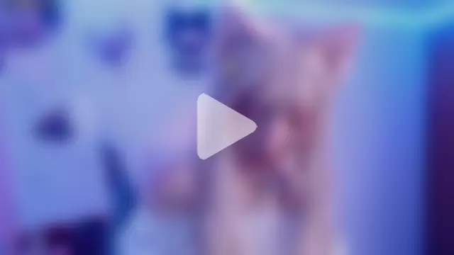 Alicedangerrr photo 8