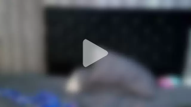 Alicee_Moonn photo 22