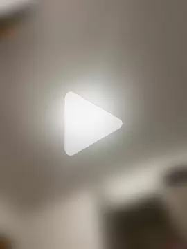 Alicia_ALICIA photo 4