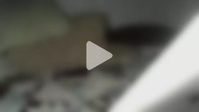 Alma_Evelynne photo 20