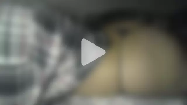 Alma_Evelynne photo 12