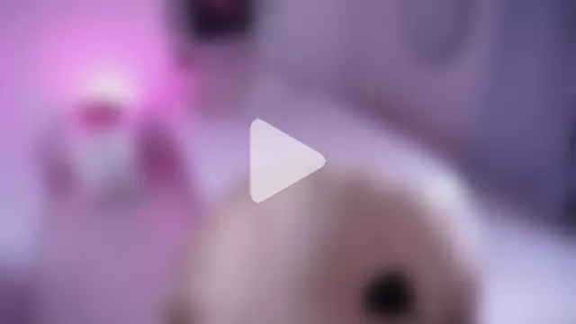 Alondrasparrow2 photo 1