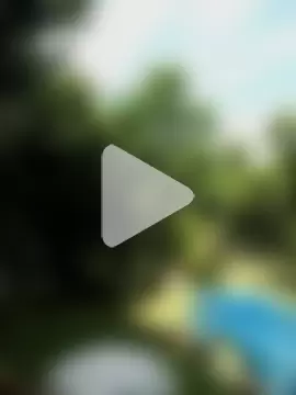 AlphaAlterX photo 26