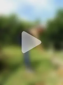 AlphaAlterX photo 21