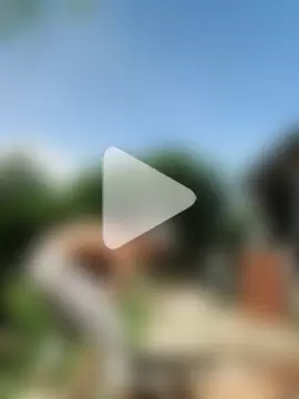 AlphaAlterX photo 11