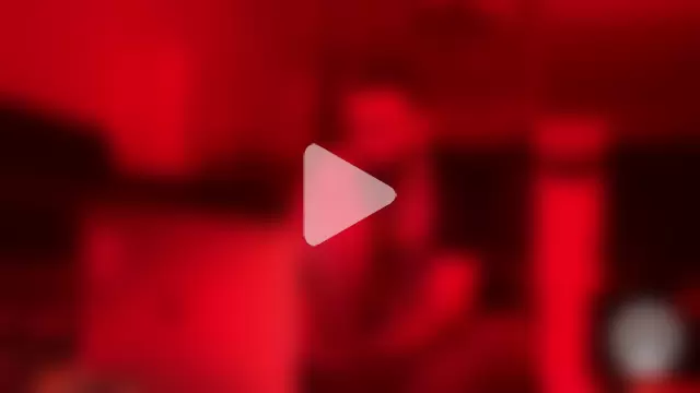 Alphapigbln photo 10