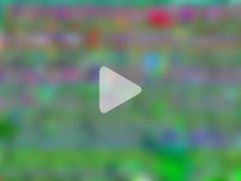Alvarroo69 photo 9
