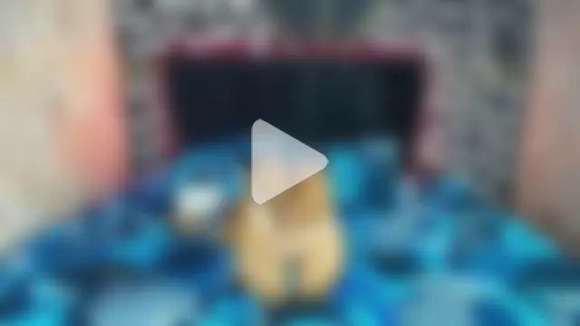 AmandaRobers photo 19