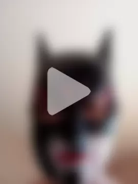 AmandaXXX98 photo 22