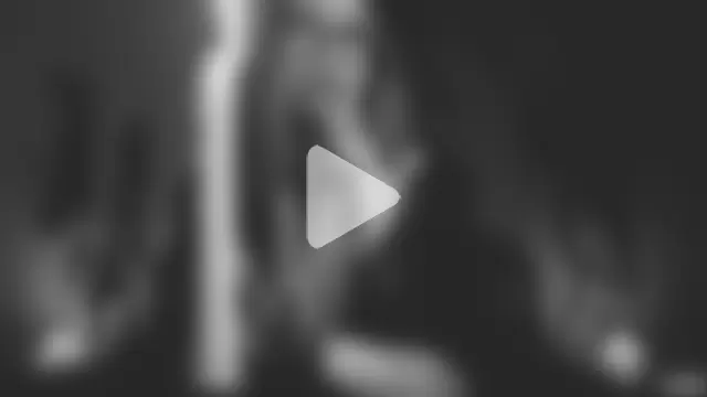 Amanita__Pantherina photo 9