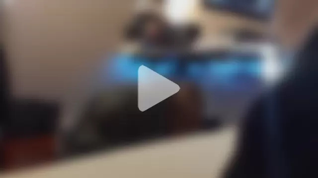 AmateurGuy23 photo 3