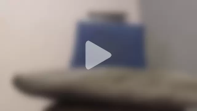 Amazing12inch photo 12