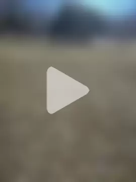 AmazonianMistress photo 13