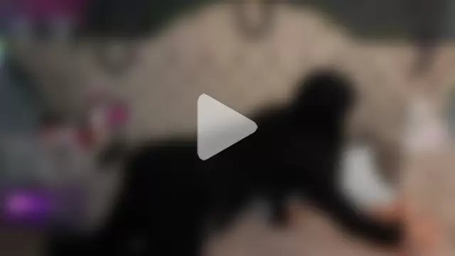 AmberGreyy_ photo 13