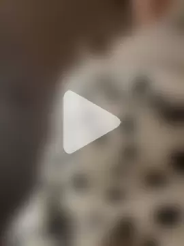 Amberhotqueen photo 5