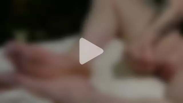 American_Dad photo 16