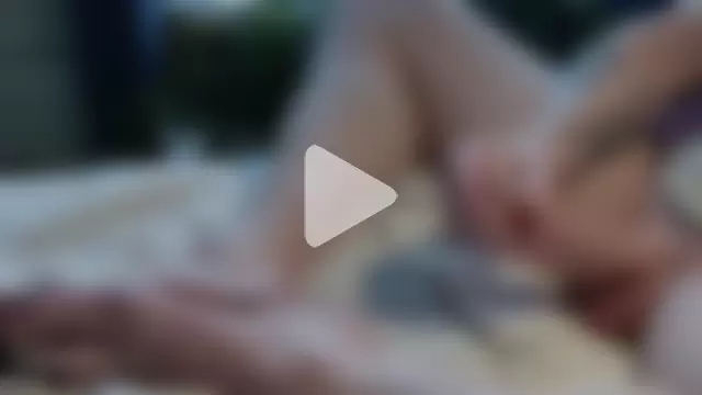 American_Dad photo 4