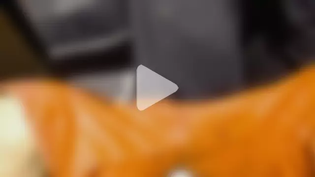 Anaconda_larga photo 7