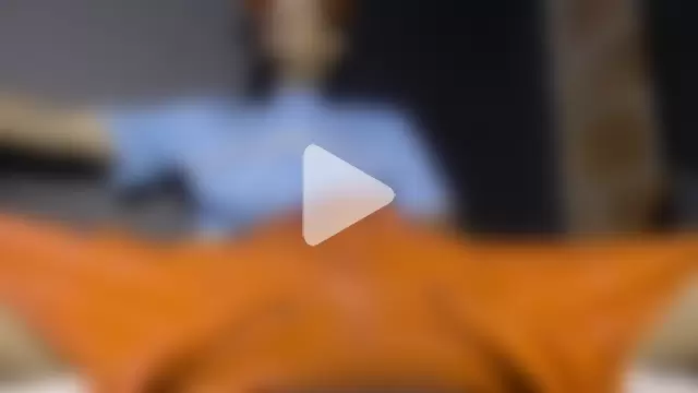 Anaconda_larga photo 4