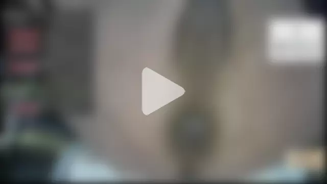 AnalOnaniePlay photo 25