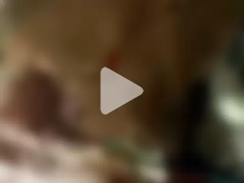 Andreizinho34 photo 2