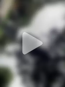Andres_boy252 photo 5