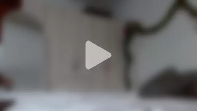 Andrewine89 photo 15