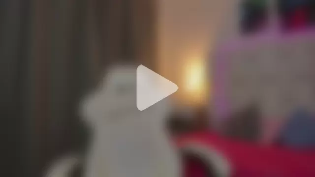 AndyKings_1 photo 11