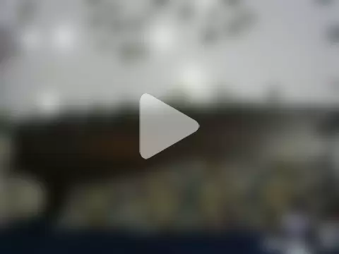 AngelAnaya018 photo 3