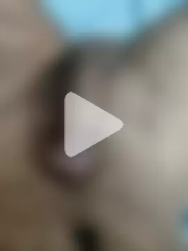 AnilSharma2021 photo 20