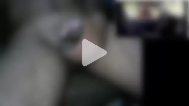 AnilSharma2021 photo 15