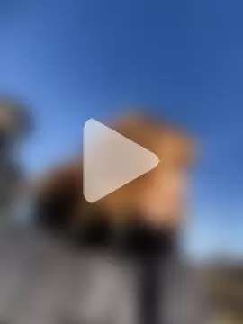 Anita-Smith photo 25