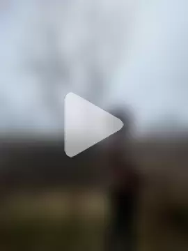 Anita-Smith photo 17