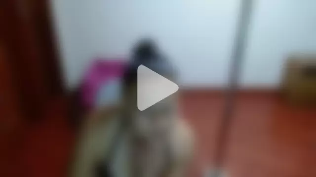 Anitta_muscle photo 5