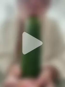 Anjinhavagabunda photo 6