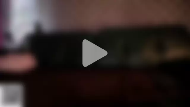 AnnexedPistol photo 7